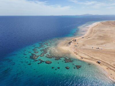 Red,Sea,,Neom,,Wildlife,Under,Water,At,Saudi,Arabia,In