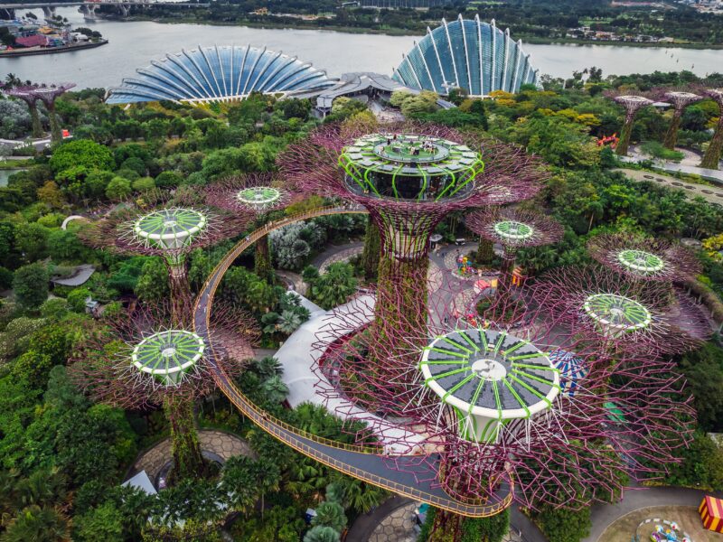 Aerial,View,To,Cloud,Forest,And,Flower,Dome,Illuminated,At