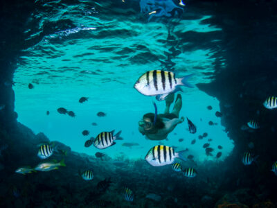 CARIBBEAN AND THE BAHAMAS_2