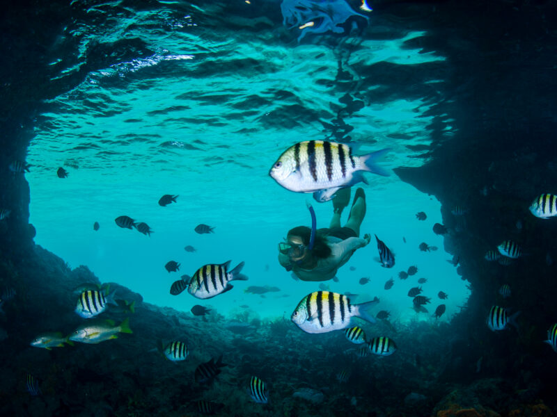 A,Woman,Snorkels,Among,A,School,Of,Tropical,Reef,Fish