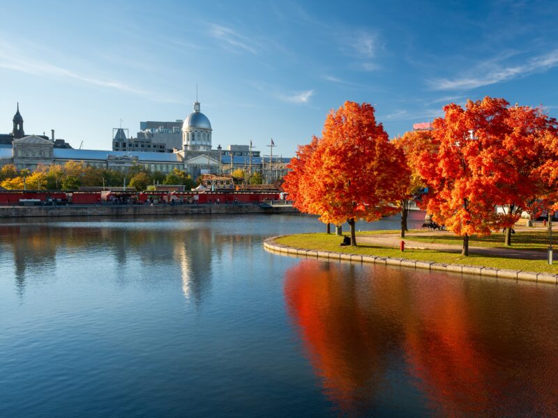 Old,Port,Of,Montreal,In,Autumn.,Red,Maples,And,Old