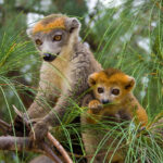 THE REST OF THE WORLD_4