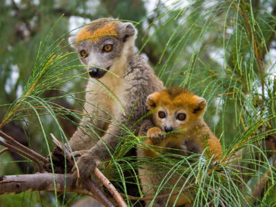 THE REST OF THE WORLD_4