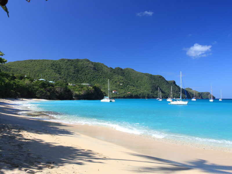 Tropical,Beach,On,Bequia,Island,,St.,Vincent,In,The,Caribbean