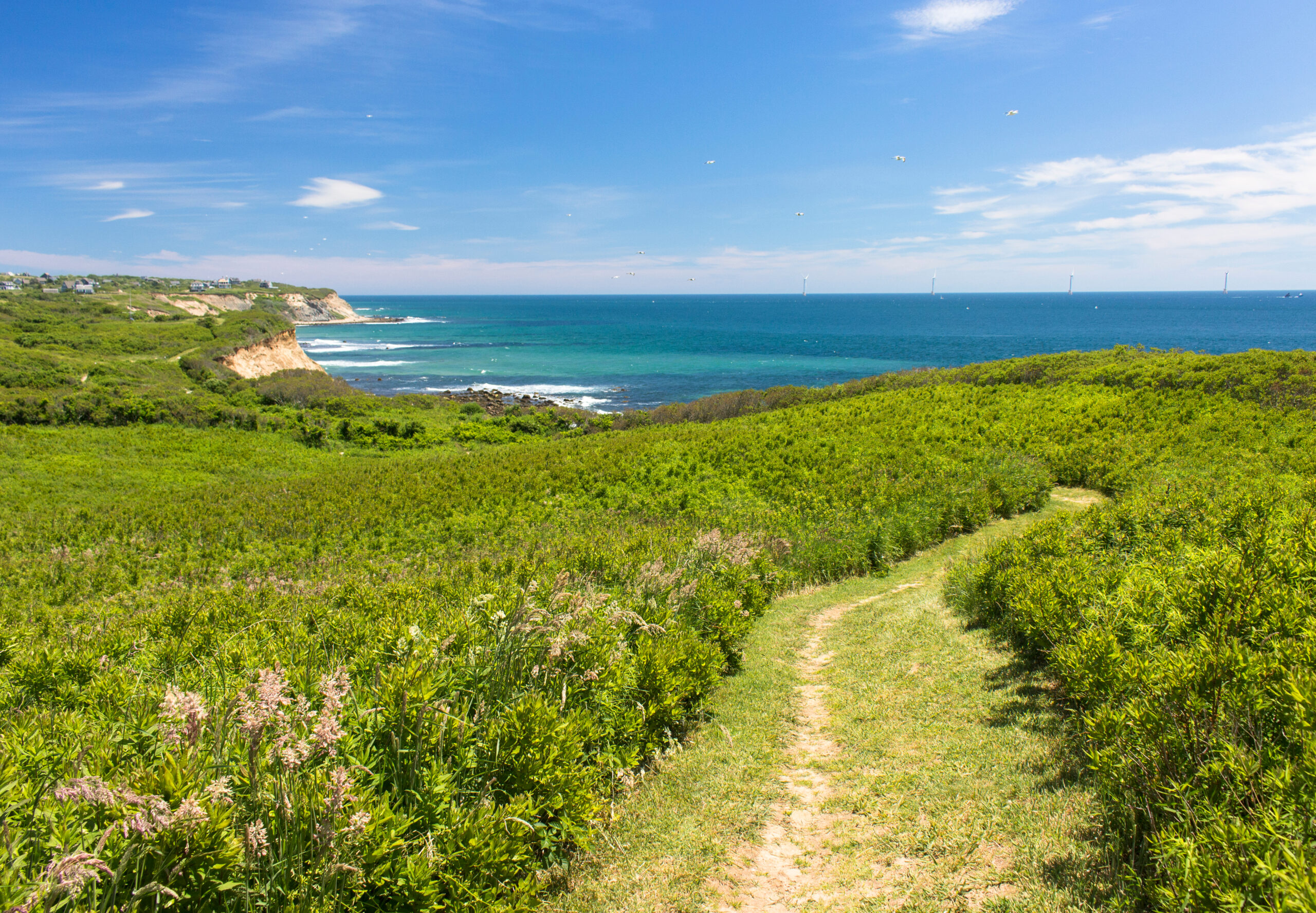 Walking,Trail,On,Block,Island,,Rhode,Island,In,Early,Summer